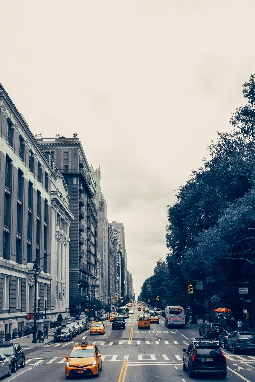 new york, centralpark, taxi, black-and-white, cityscape, new york, centralpark, centralpark, centralpark, centralpark, centralpark